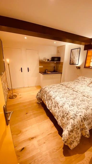 Studio Renove Avec Patio, Coeur Du Centre Ville Besançon Buitenkant foto