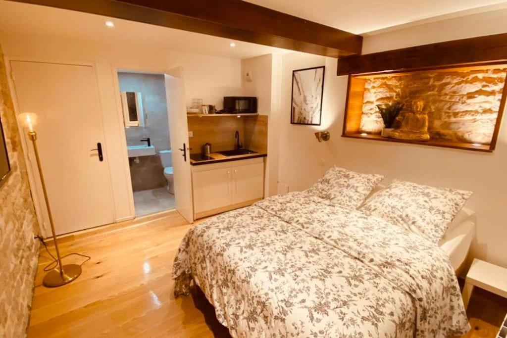 Studio Renove Avec Patio, Coeur Du Centre Ville Besançon Buitenkant foto